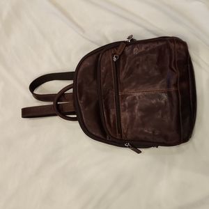 Beautiful leather purse/backpack